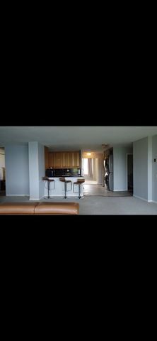 6101 N Sheridan Road 4A, Chicago, IL 60660