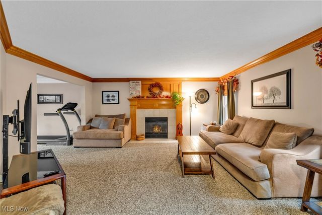 5755 Trystin Tree Drive, Medina, OH 44256