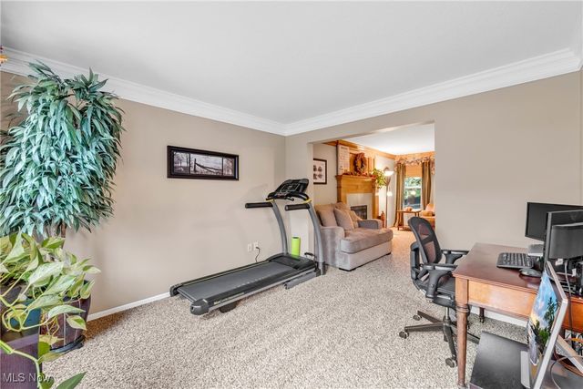 5755 Trystin Tree Drive, Medina, OH 44256