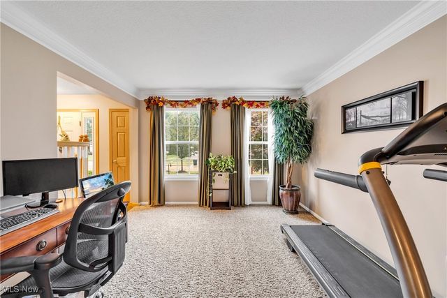 5755 Trystin Tree Drive, Medina, OH 44256