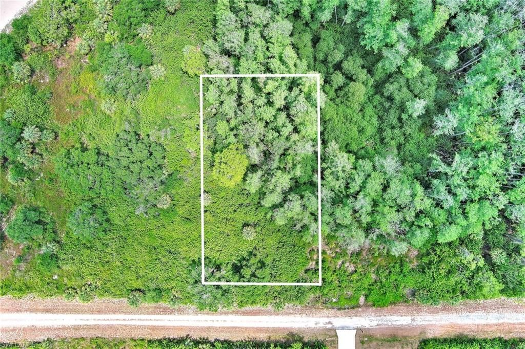 520 Woodman DR, LEHIGH ACRES, FL 33972 — photo 2