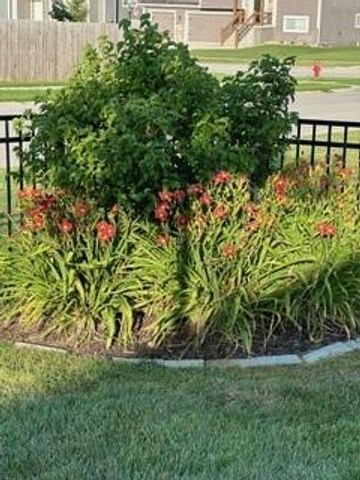 925 N Willow Court, Tonganoxie, KS 66086