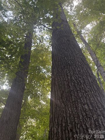 Lot 3 Edgewood Road, Wilkesboro, NC 28697