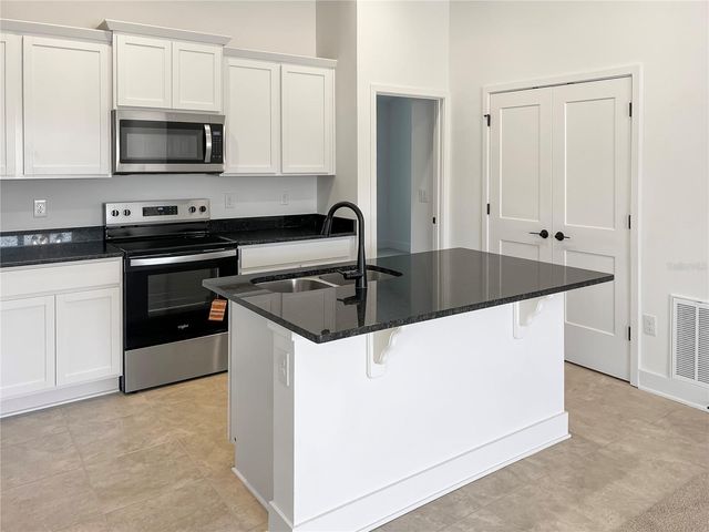 263 VERNY GROVE LANE LANE, Leesburg, FL 34748