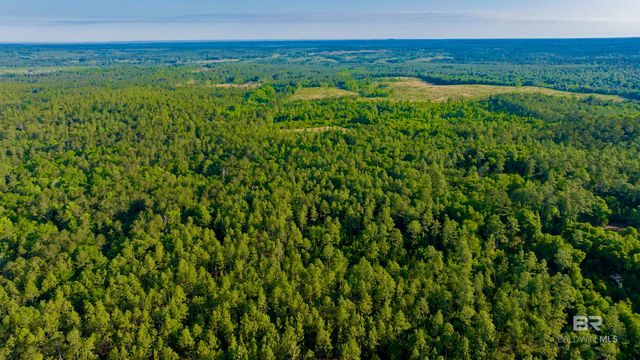 0 George Thomley Road, Perdido, AL 36562