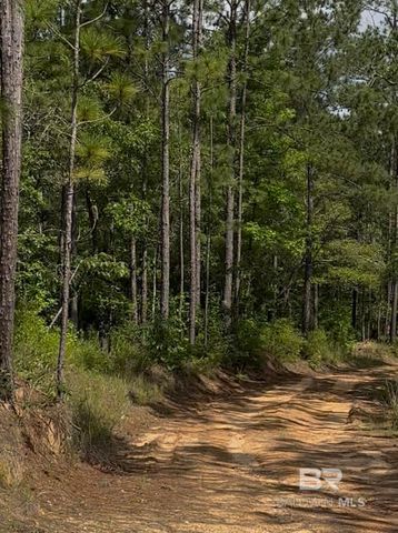 0 George Thomley Road, Perdido, AL 36562