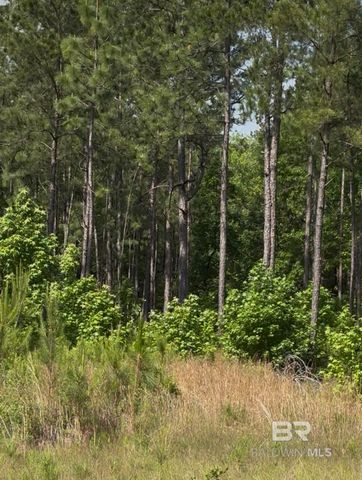 0 George Thomley Road, Perdido, AL 36562