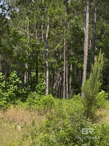 0 George Thomley Road, Perdido, AL 36562