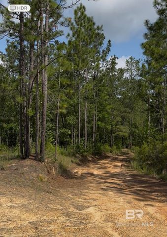 0 George Thomley Road, Perdido, AL 36562