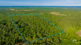 0 George Thomley Road, Perdido, AL 36562