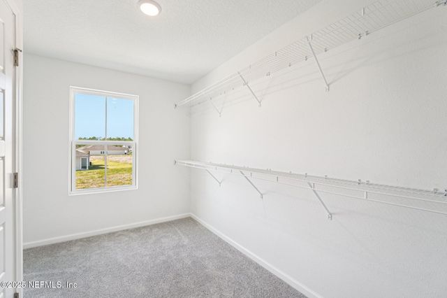 1281 HAMMOCK DUNES Drive, Jacksonville, FL 32221