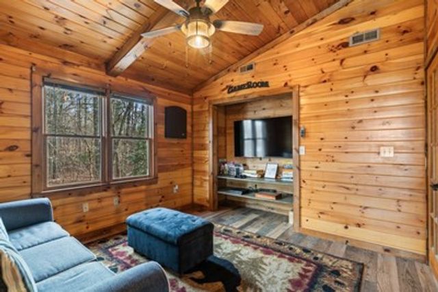 162 Little Falls Drive, Mineral Bluff, GA 30559