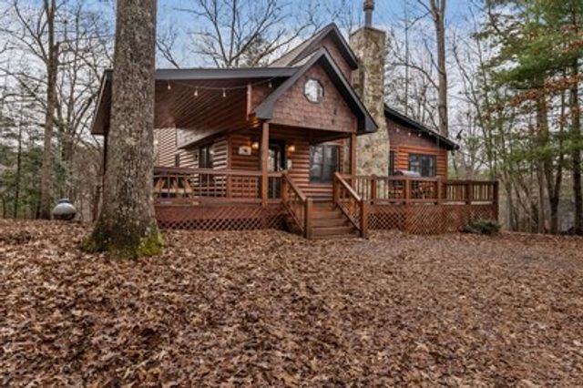 162 Little Falls Drive, Mineral Bluff, GA 30559