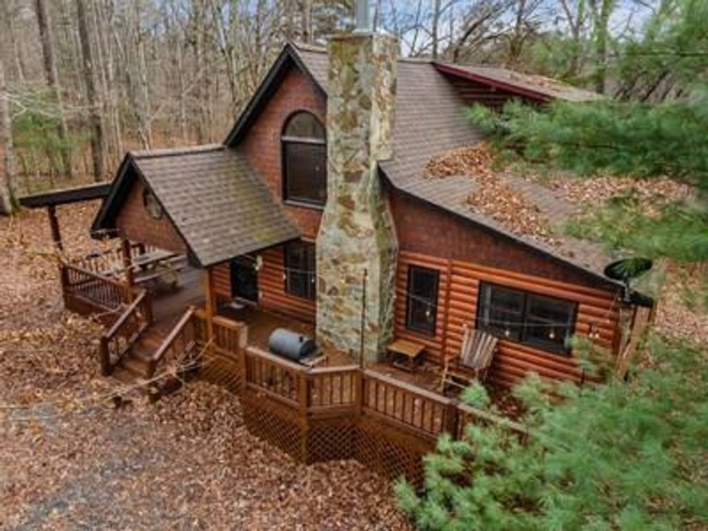 162 Little Falls Drive, Mineral Bluff, GA 30559