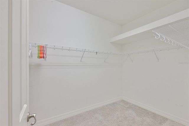16508 AMBERWIND LANE, Lutz, FL 33558