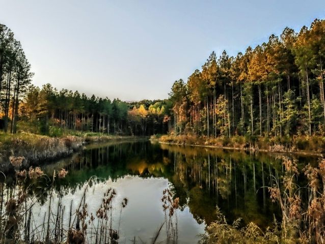 0 Endless View, Soddy Daisy, TN 37379