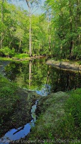 3524 Pine Log Road, Lumberton, NC 28360