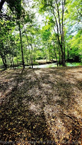 3524 Pine Log Road, Lumberton, NC 28360