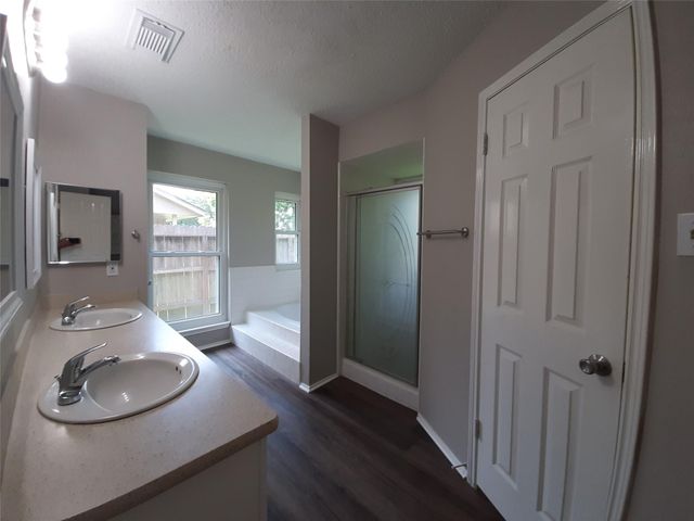 8406 Woodland Willows Drive, Houston, TX 77083