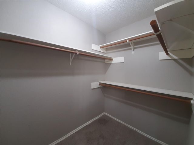 8406 Woodland Willows Drive, Houston, TX 77083