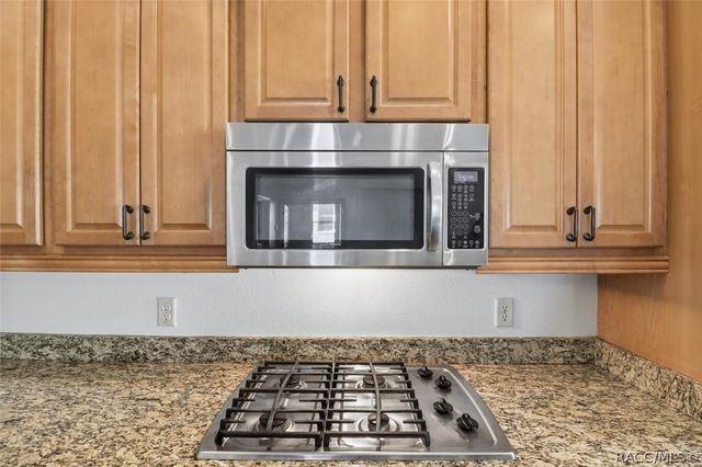 1027 W Skyview Crossing Drive, Hernando, FL 34442