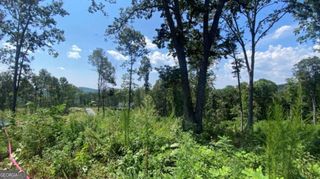 1084 Highgrove Drive, Talking Rock, GA 30175