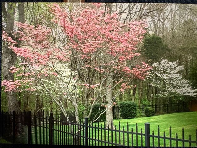 428 Landings Way, Mount Juliet, TN 37122