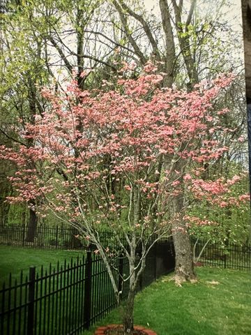 428 Landings Way, Mount Juliet, TN 37122