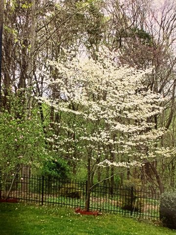 428 Landings Way, Mount Juliet, TN 37122