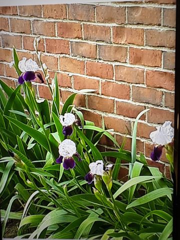 428 Landings Way, Mount Juliet, TN 37122