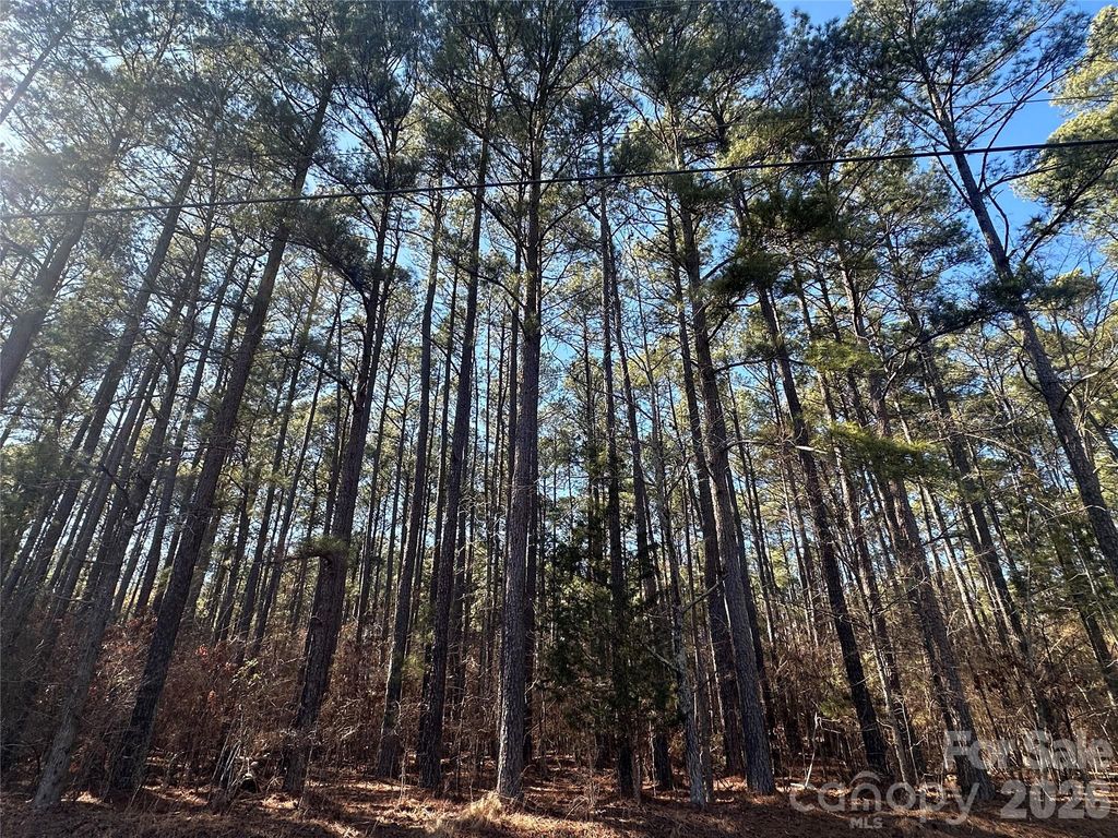 2410 Summerville Church Road, Denton, NC 27239