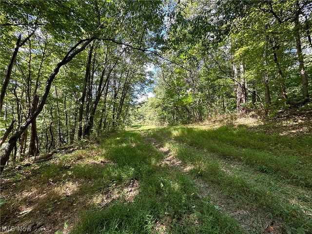 8292 State Route 60, Lowell, OH 45744