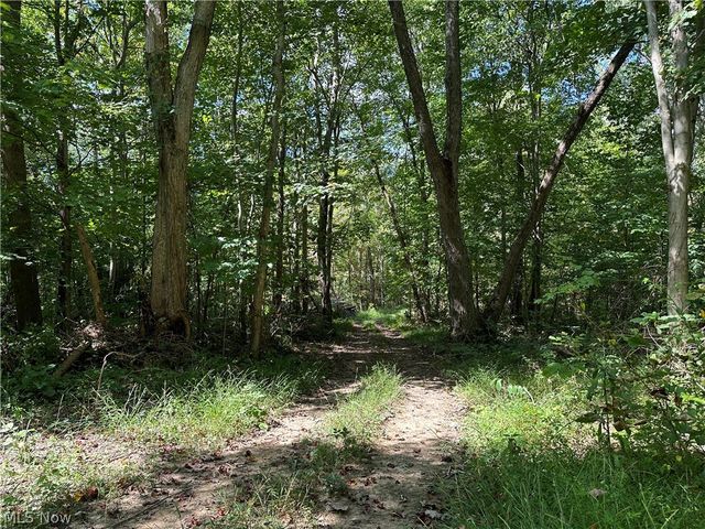 8292 State Route 60, Lowell, OH 45744