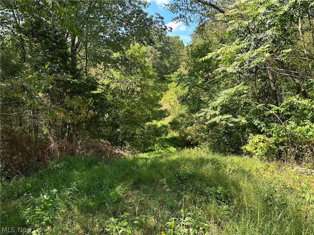 8292 State Route 60, Lowell, OH 45744