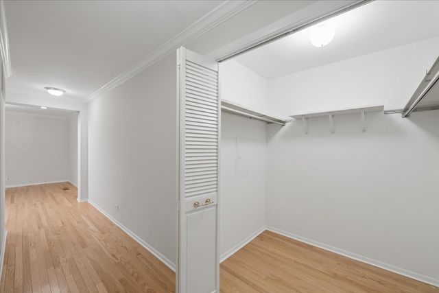 411 Ashland Avenue 1A, River Forest, IL 60305