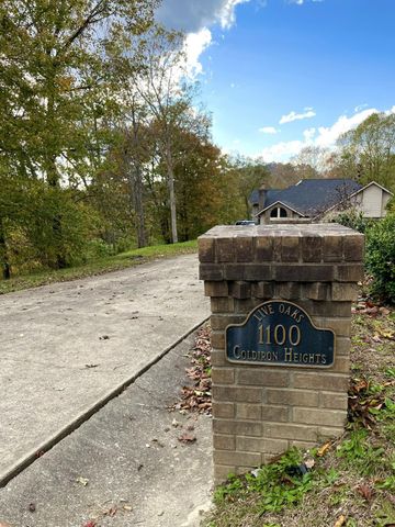 1100 Coldiron Heights, Harlan, KY 40831