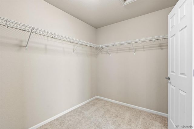 2900 Dragonfly Court, Castle Rock, CO 80109