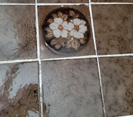 13021 Ridge View Dr, Sutter Creek, CA 95685