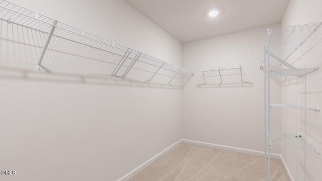 904 Sculptor Street, Wendell, NC 27591