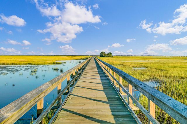 1543 Prince Edward Street, Mount Pleasant, SC 29466