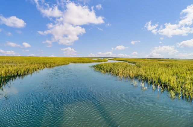 1543 Prince Edward Street, Mount Pleasant, SC 29466