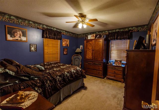 702 S 525th Rd, East Prairie, MO 63845