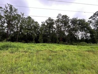 TBD NE HWY 27 ALT, Williston, FL 32696