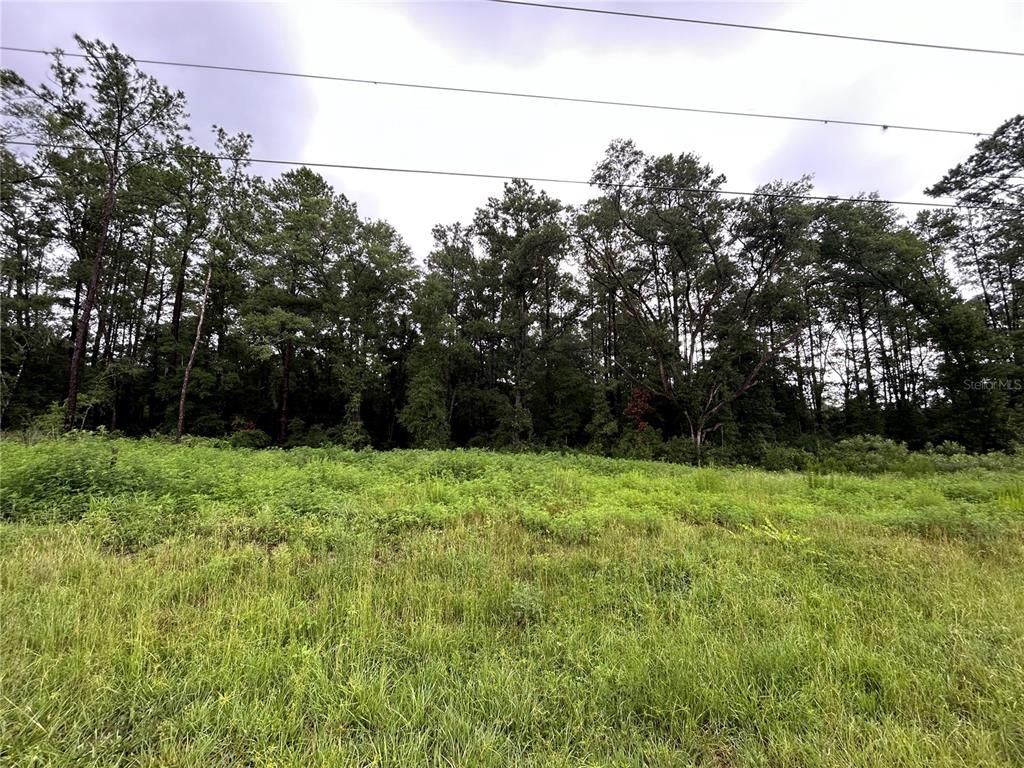 TBD NE HWY 27 ALT, Williston, FL 32696