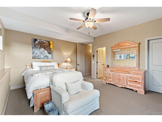 268 Castlemaine Pl, Castle Rock, CO 80104