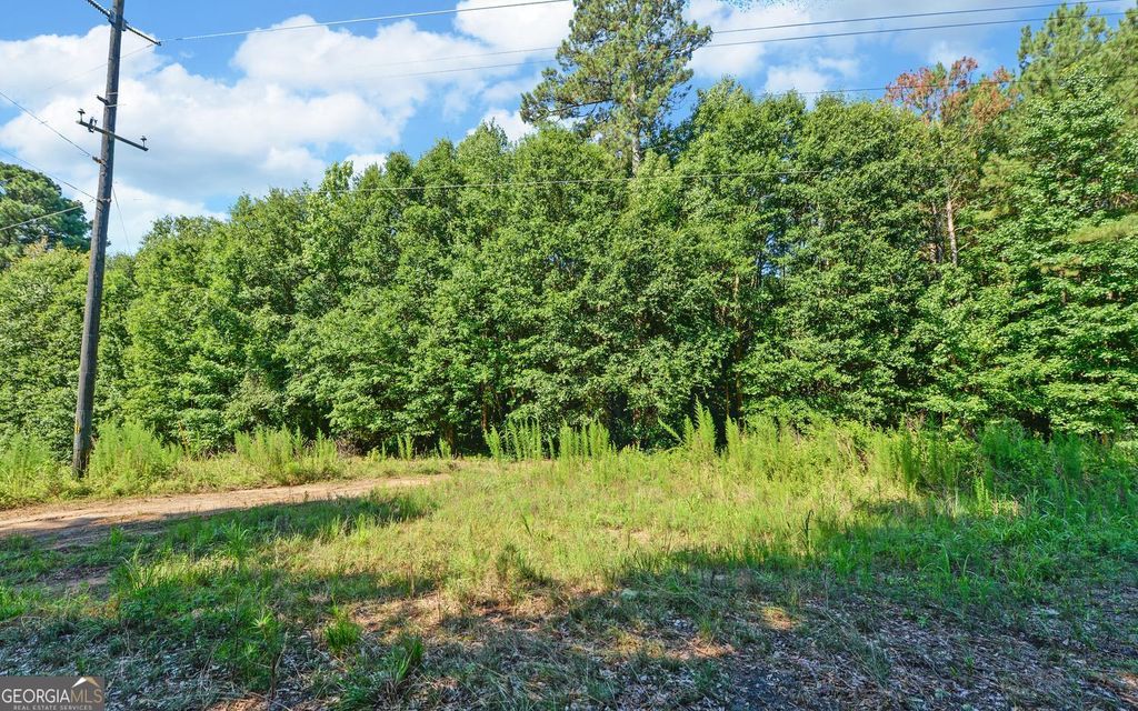 0 Hwy 17, Royston, GA 30662 — photo 2