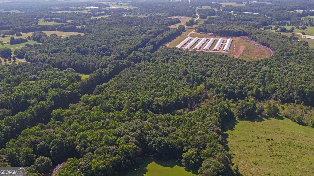 0 Hwy 17, Royston, GA 30662 — photo 3