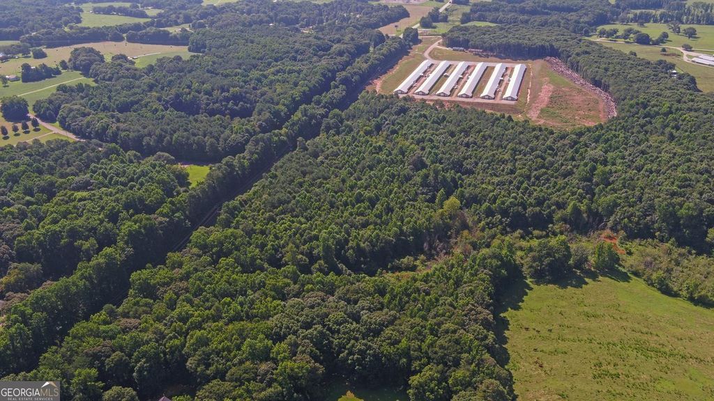 0 Hwy 17, Royston, GA 30662 — photo 4