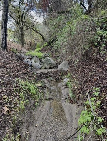 720 Sky Mountain Lane, Alpine, CA 91901