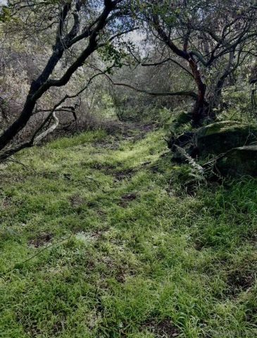 720 Sky Mountain Lane, Alpine, CA 91901